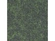 Carpet  Carpenter Viola 6142 - high quality at the best price in Ukraine
